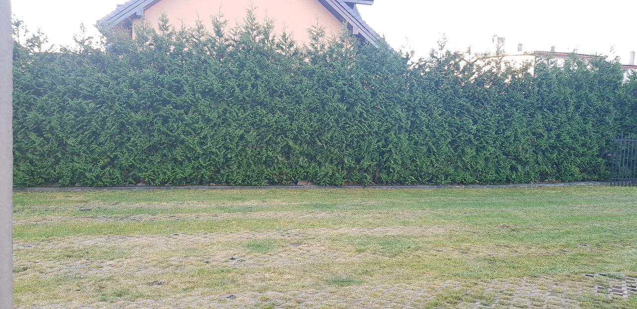 Pokoje Goscinne Pryzmat Władysławowo Dış mekan fotoğraf